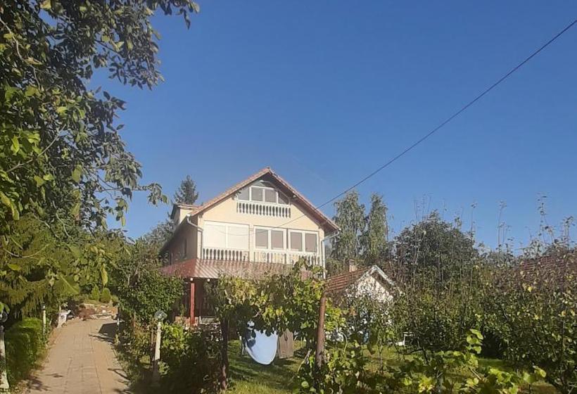 پانسیون Aleksandar Vila Br