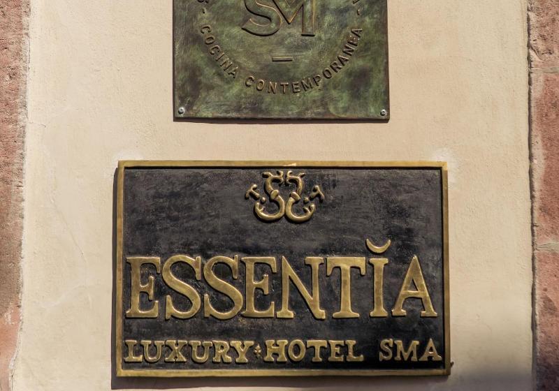The Essentia Hotel   Sma