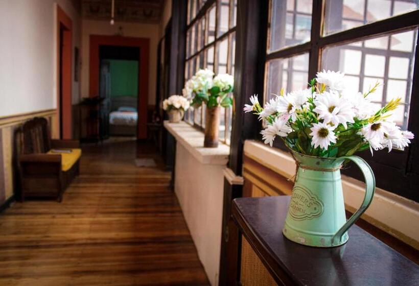 تختخواب و صبحانه Villa Bonita Hostel