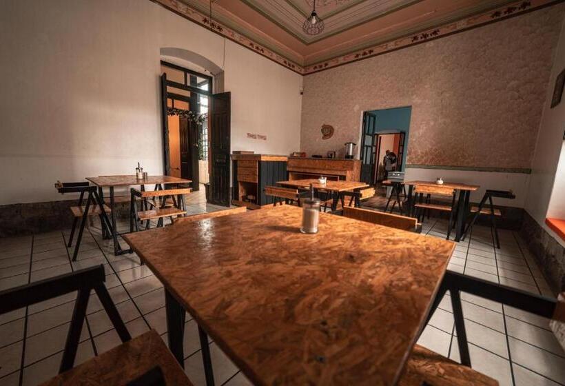 تختخواب و صبحانه Villa Bonita Hostel