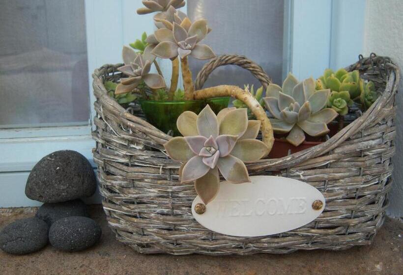 Christina S Cave House