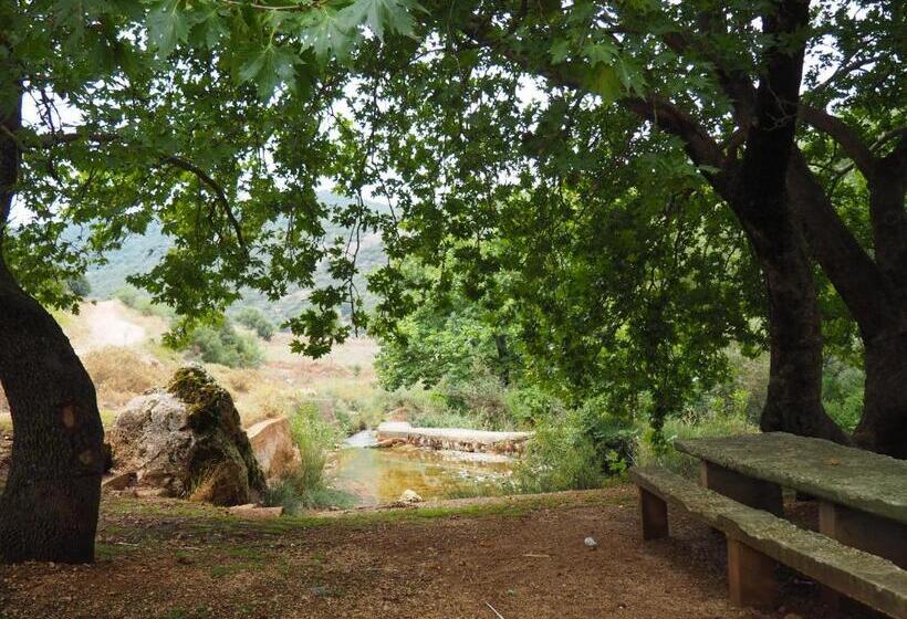 호텔 Arhontiko Kefalari