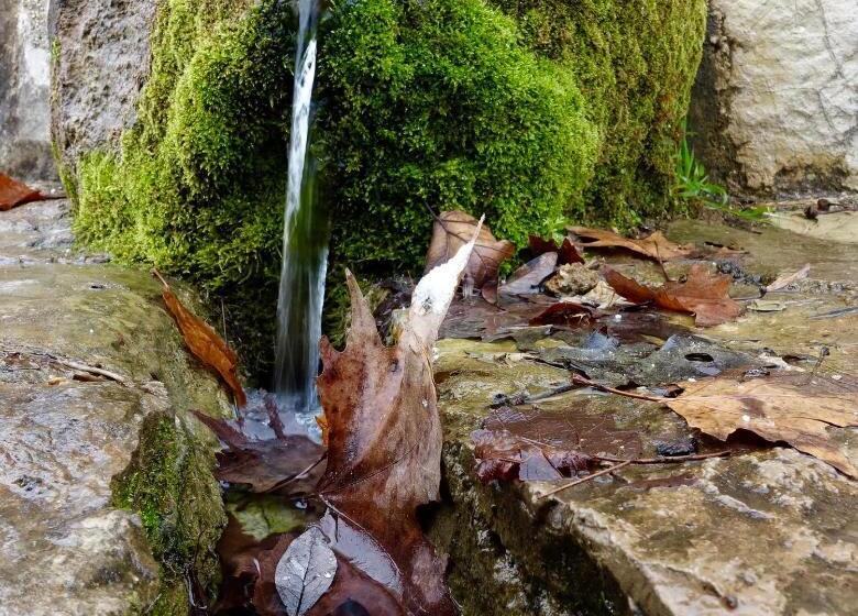 호텔 Arhontiko Kefalari