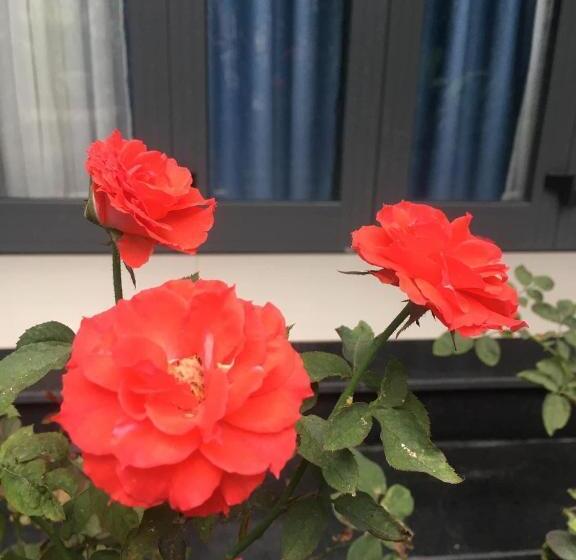 هتل Cherry Garden Homestay