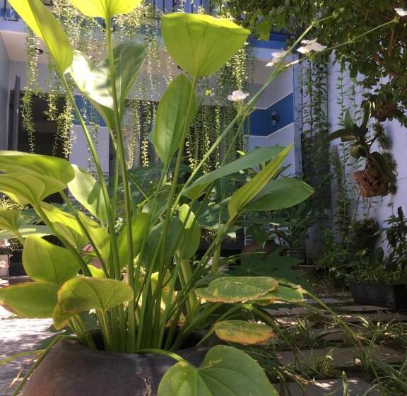 هتل Cherry Garden Homestay