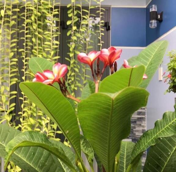 هتل Cherry Garden Homestay