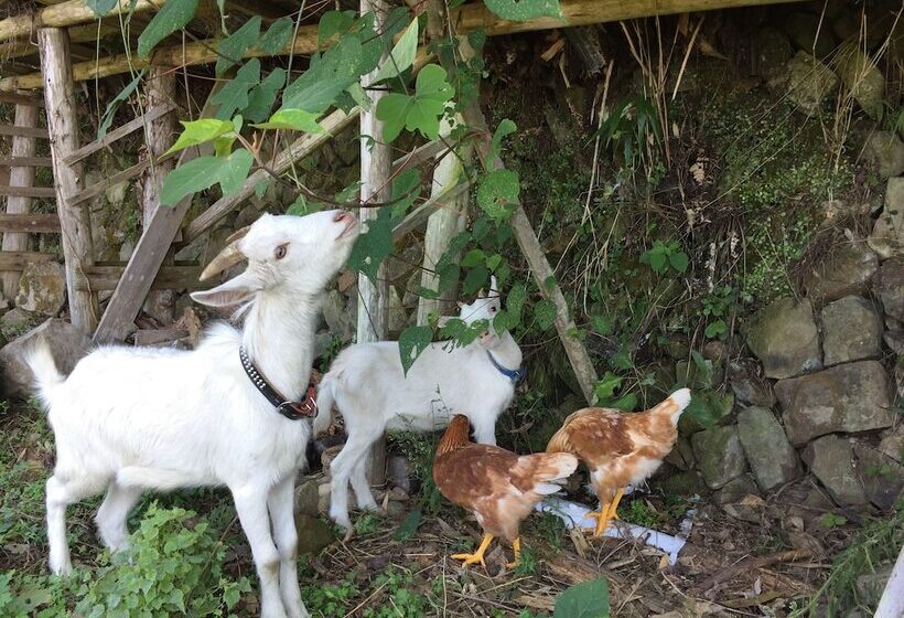 酒店 Kumano Winery Guest House