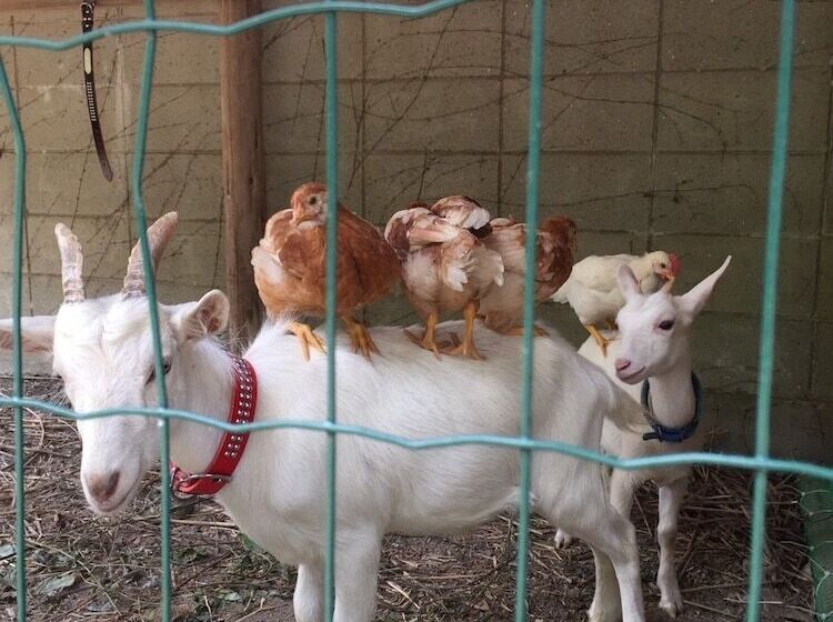 酒店 Kumano Winery Guest House