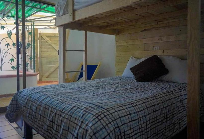 فندق My Local Home Vallarta