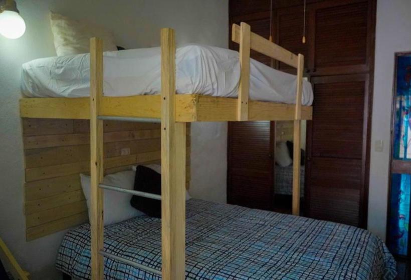 فندق My Local Home Vallarta