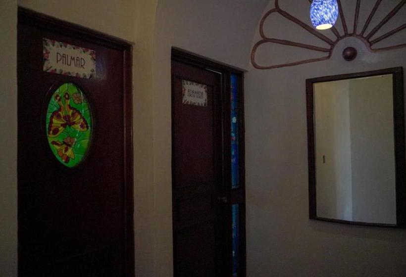 فندق My Local Home Vallarta