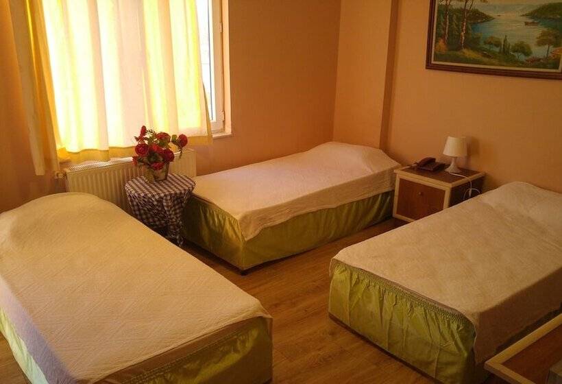 Отель Sevturinn