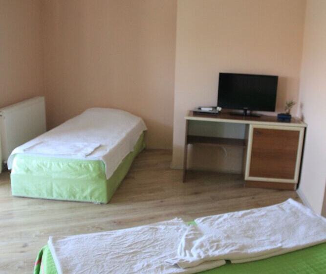 Отель Sevturinn