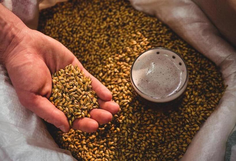 פנסיון Olivův Pivovar