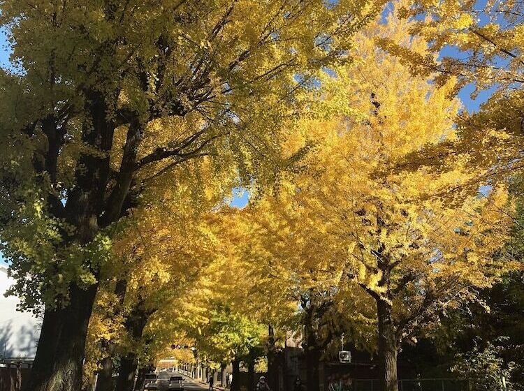 膳宿费 Yamanobenomichi Teku Teku