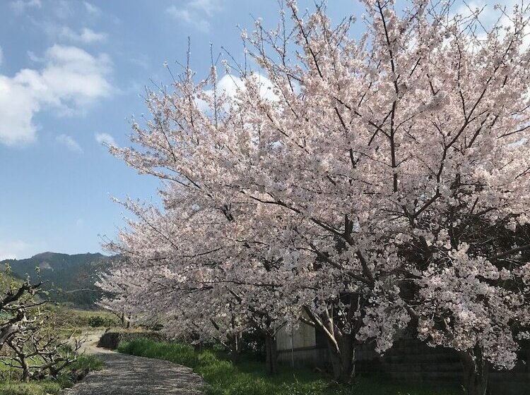 膳宿费 Yamanobenomichi Teku Teku