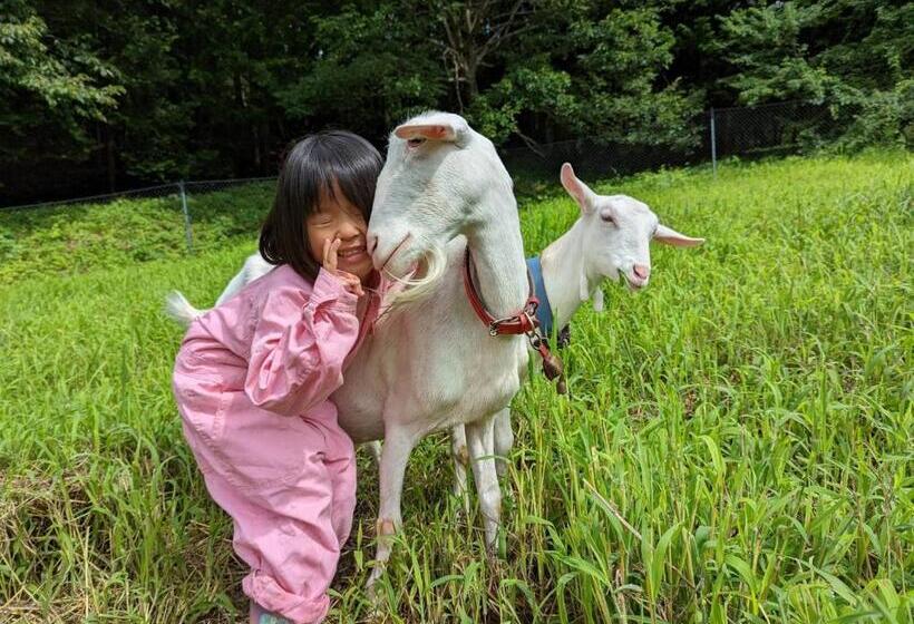 ベッドアンドブレックファースト むかしの暮らしを体験 古民家の宿 みのり家