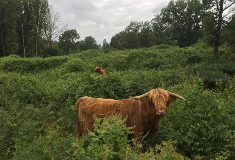 ベッドアンドブレックファースト Aan De Molenberg