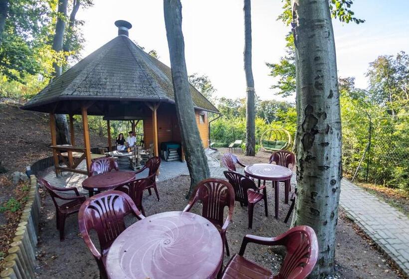 Отель 4 évszak Hegyi