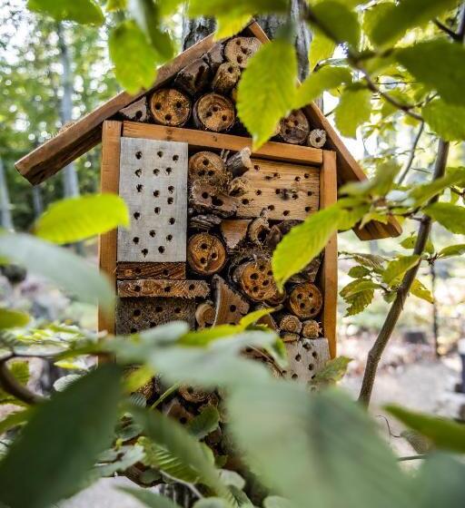 Отель 4 évszak Hegyi