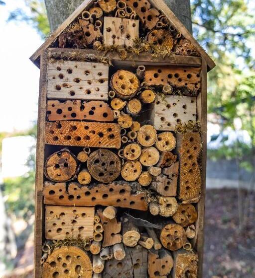 Отель 4 évszak Hegyi