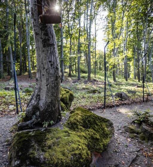 Отель 4 évszak Hegyi