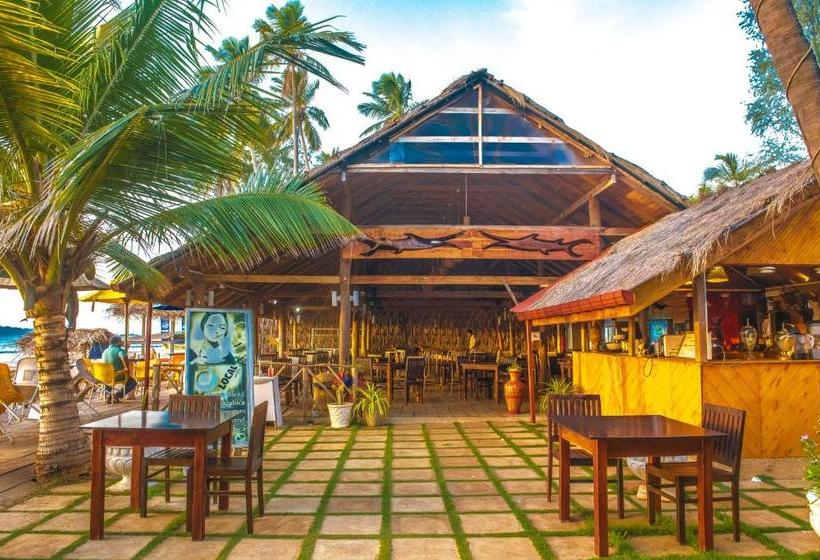 هتل Coconut Beach Lodge
