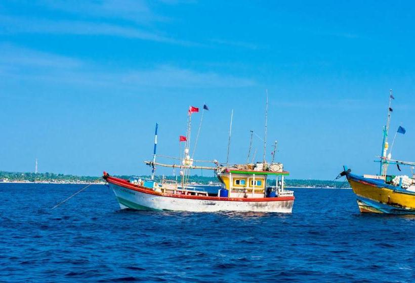 Отель Coconut Beach Lodge