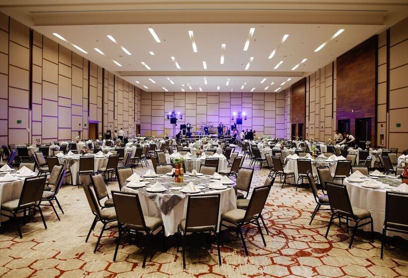 酒店 Doubletree By Hilton Celaya