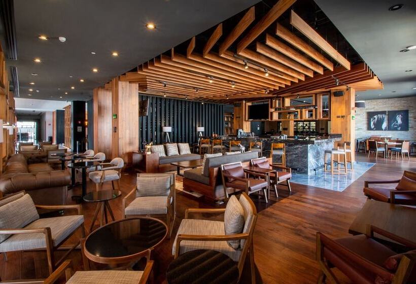 酒店 Doubletree By Hilton Celaya