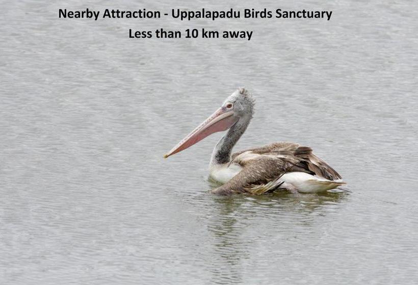 酒店 Oyo 8867  Jaya Grand Saver