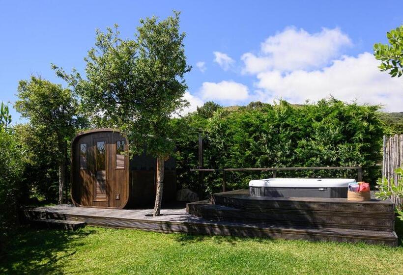 פנסיון Dream Guincho