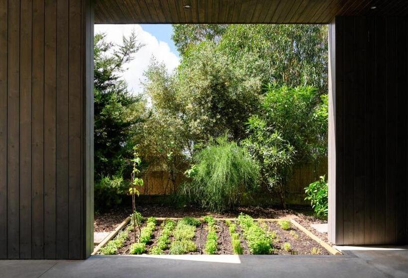 פנסיון Dream Guincho