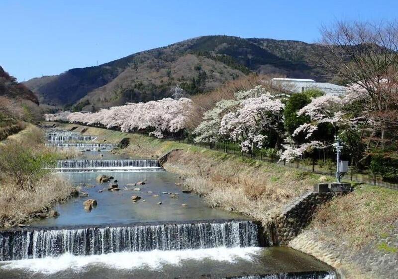 ペンション Onsen & Garden Asante Inn