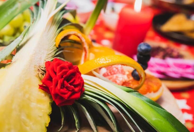 Villa Cecha B&b &wellness