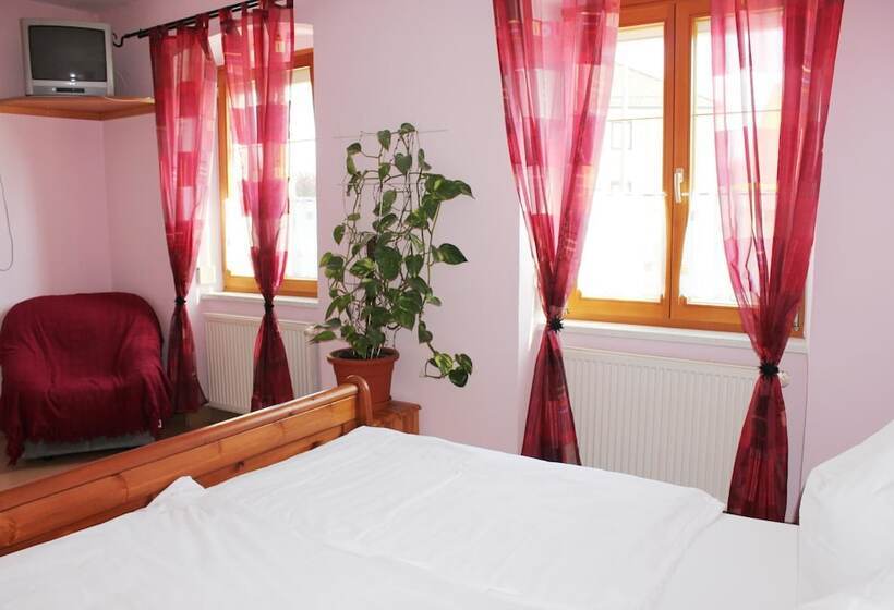 旅馆 Gasthof Zur Alten Post Pension