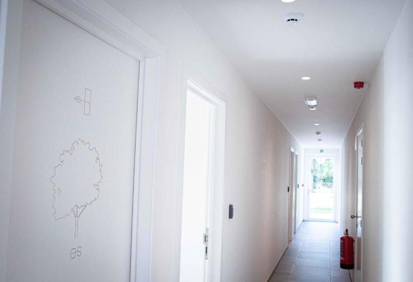 ベッドアンドブレックファースト Barbos