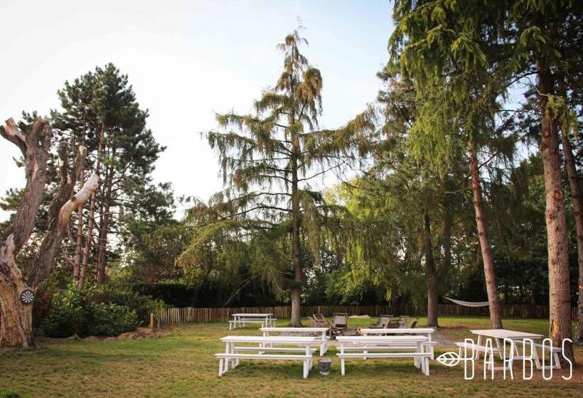 ベッドアンドブレックファースト Barbos