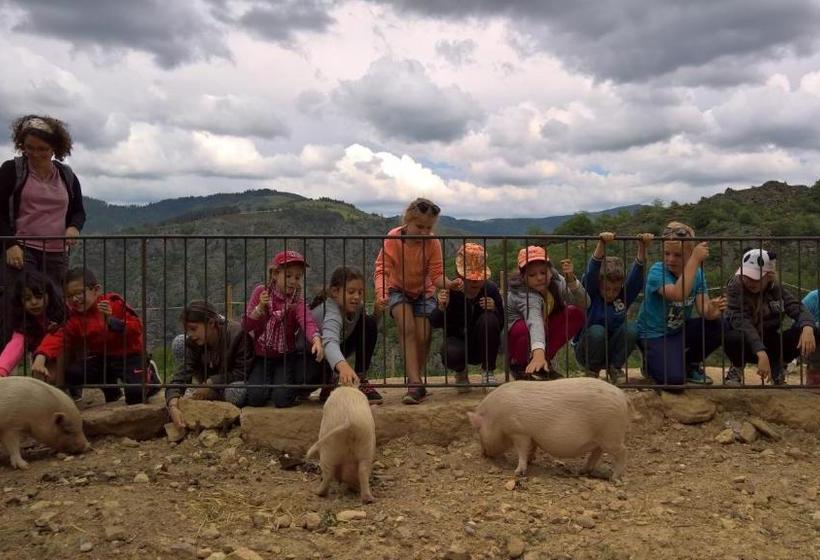 酒店 La Ferme Des Cévennes