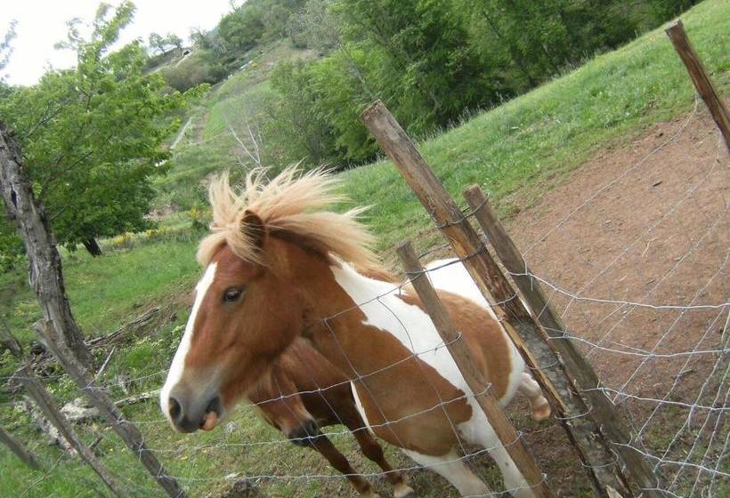 酒店 La Ferme Des Cévennes