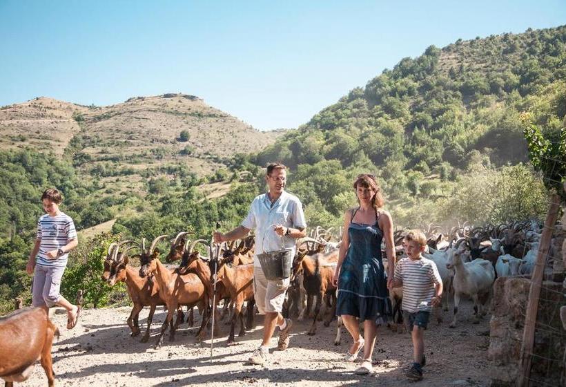 酒店 La Ferme Des Cévennes