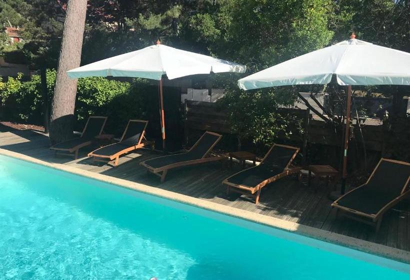 펜션 Bancs De Sable