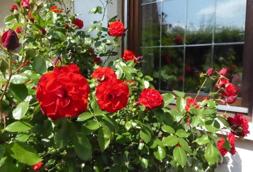 Пансион Haus Rosmarin