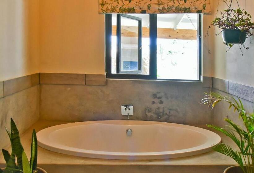 פנסיון Veranda House Boutique Accommodation