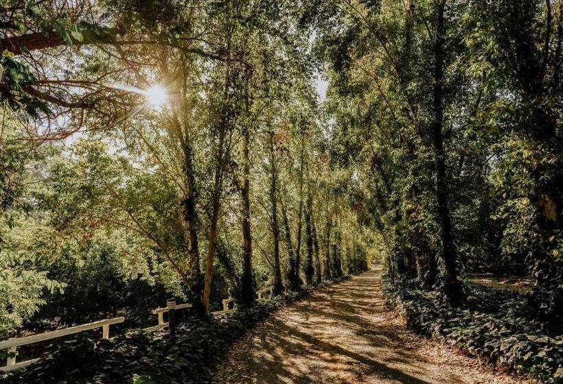 פנסיון Villiera Guesthouse