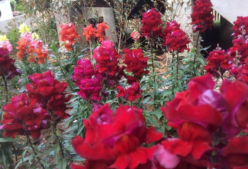 Pupiang Po Da Arte Resort