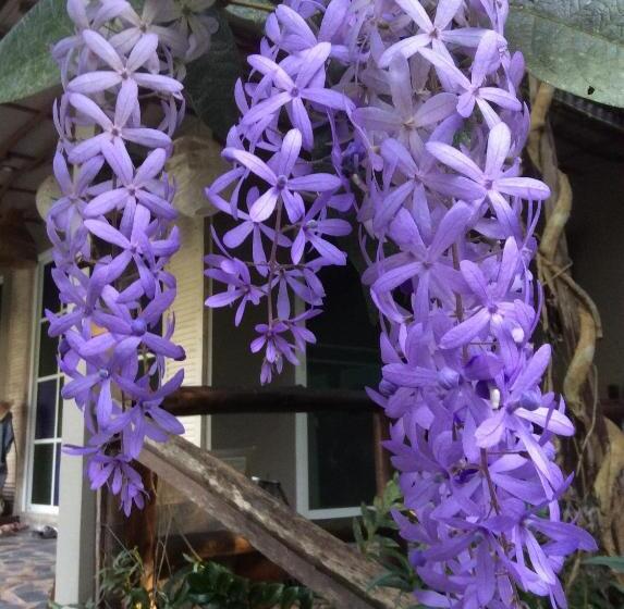 Pupiang Po Da Arte Resort