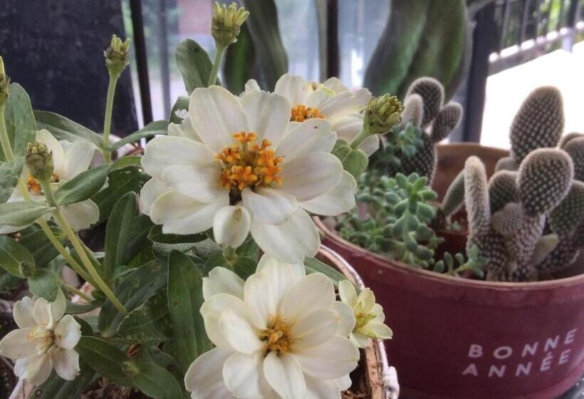 Pupiang Po Da Arte Resort