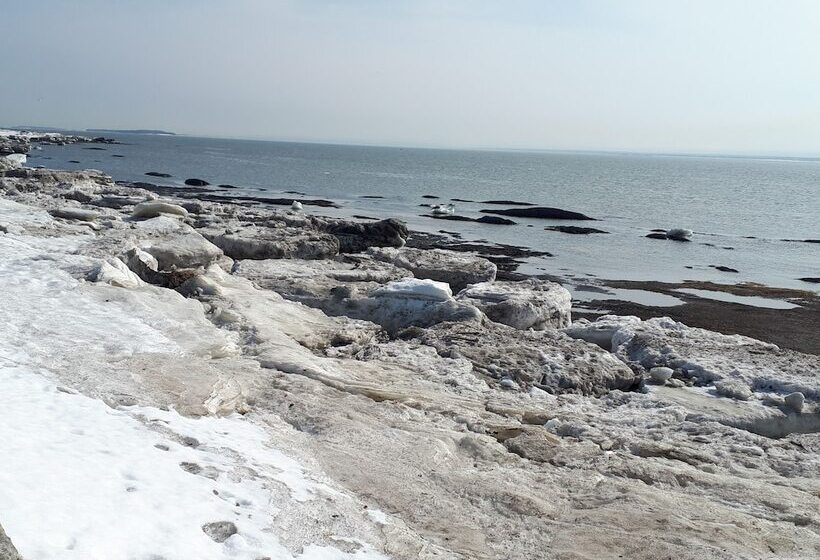 여관 L'auberge De Quai