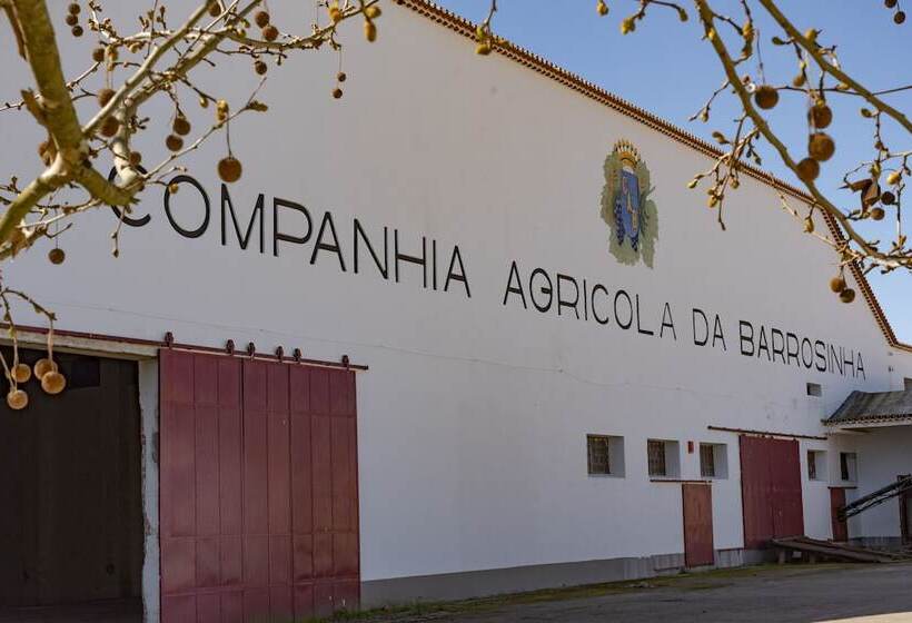 فندق Da Barrosinha